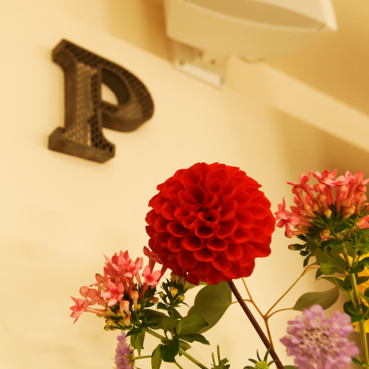 PHOTO:PALLAS & GABRIA.